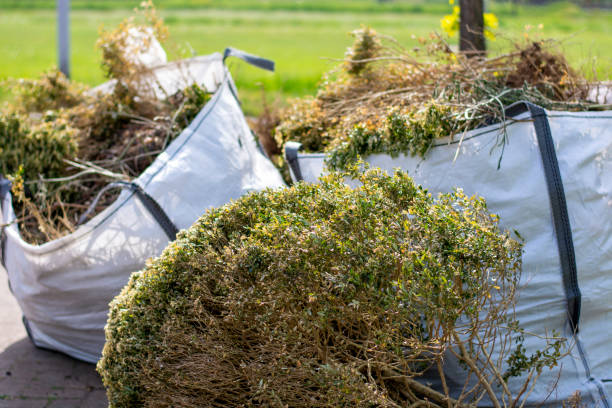 Best Household Junk Removal  in Doylestown, OH